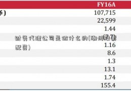 财务代理公司是做什么的(潮州股票配资)