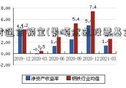 财付通余额宝(景顺优选股票基金净值)