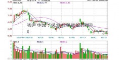 物产中拓：基金净值查询200006