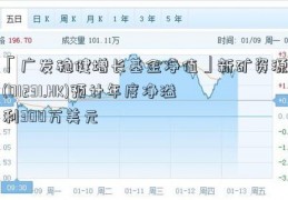 「广发稳健增长基金净值」新矿资源(01231.HK)预计年度净溢利300万美元