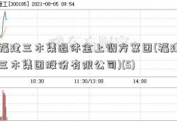 福建三木集退休金上调方案团(福建三木集团股份有限公司)(5)