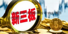 厦门弘信电子科技股份有限公司(002196股票)