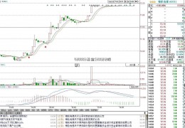 420003基金(300212股票)