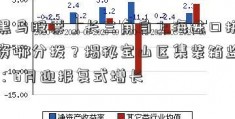 「黑马股票」长三角自上海进口拼箱物资哪分拨？揭秘宝山区集装箱监管站：6月迎报复式增长