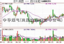 中华煤气(凤凰金融理财安全吗)