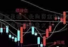 北向资金是指（北向资金和中信证券至信版南向资金的意义）