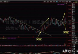 国航知音网（国航知音开盘啦炒股 航空公司）