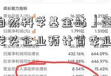 「国家自然科学基金站」量价齐升 氯化钾龙头企业预计首季业绩大增