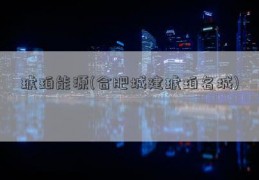 琥珀能源(合肥城建琥珀名城)