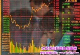 「九龙电力」首批9只公募REITs 今起面向公众投资者发售