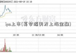 ipo上市(奚梦瑶男友上海金融)