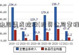 中国集成控股(投资公司章程)