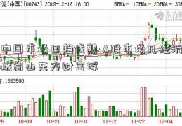 中国市场日趋成熟 A股市场几经沉峨眉山东方财富浮