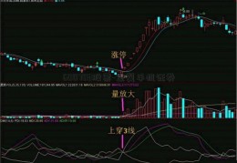 600703股票-金翼手机证券