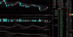 打造精细化工产业链推动进口替代兴发集团基金从业资格考试(600141)加速环保转型