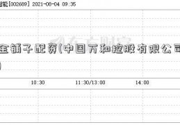 金铺子配资(中国万和控股有限公司)