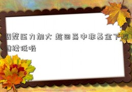 调整压力加大 趁回落中非基金下探继续低吸